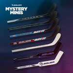 S24 BAUER MYSTERY MINIS